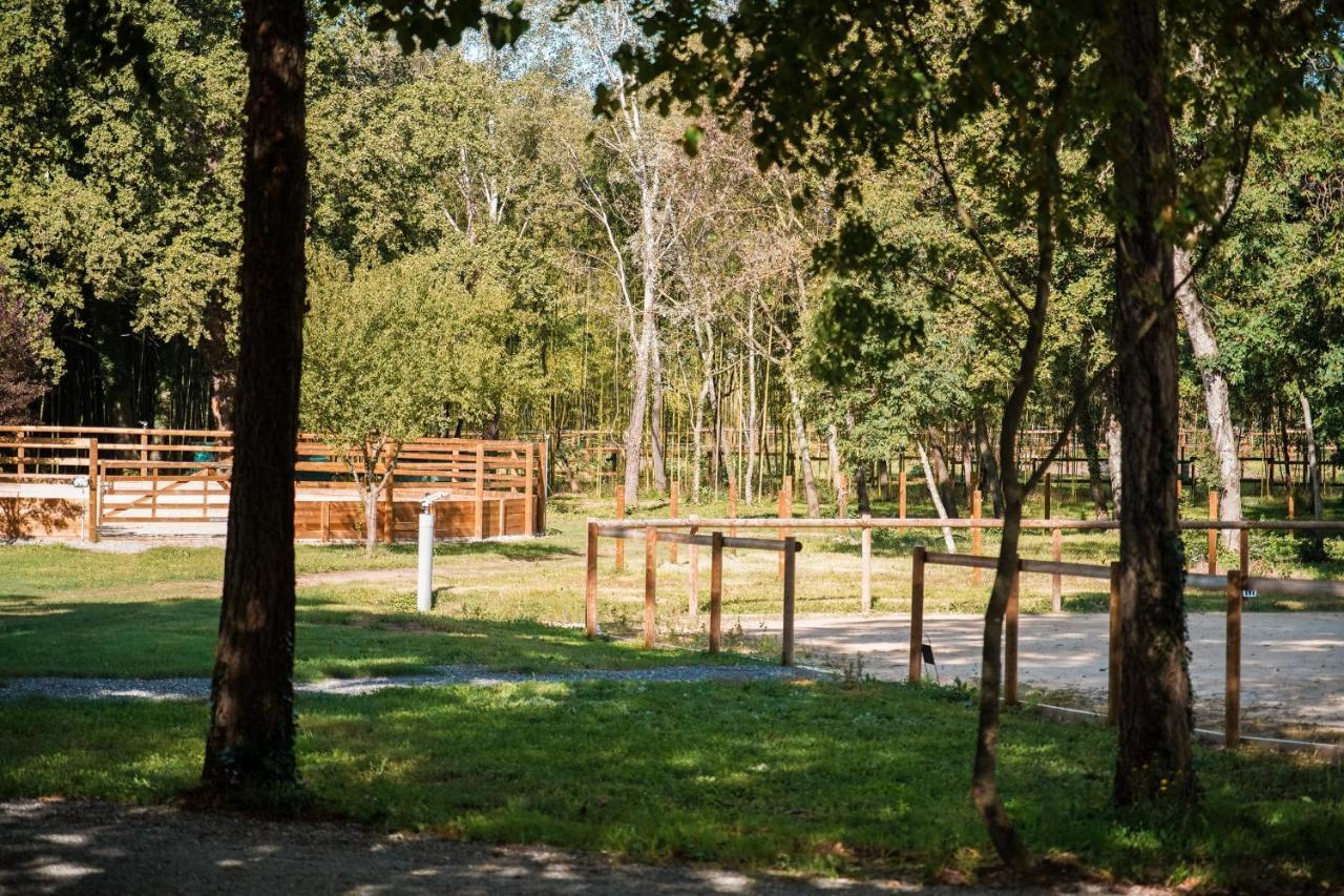 Apartament Domaine Des Eglantiers Cardet Zewnętrze zdjęcie